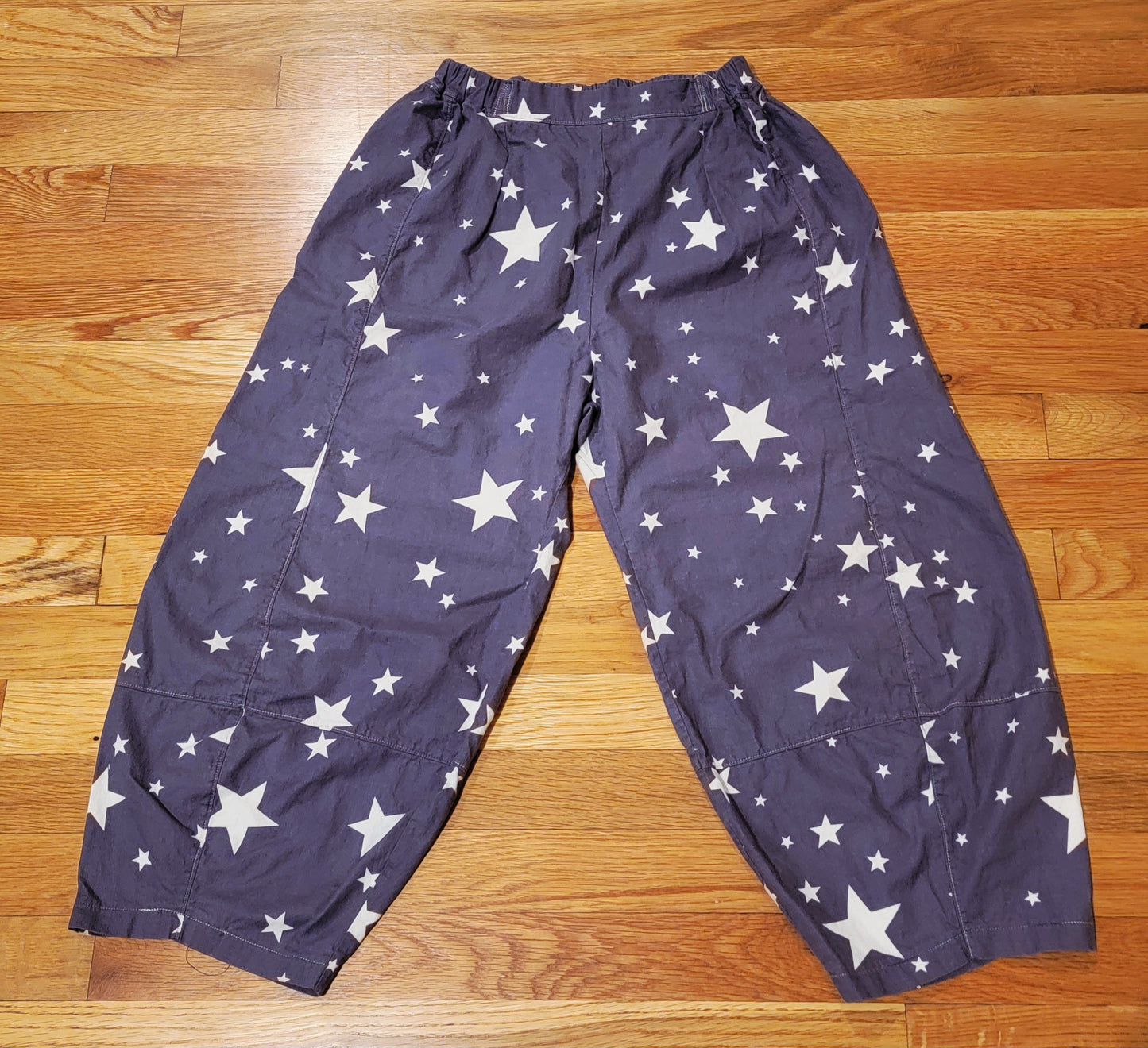 Zoom Serger Class: Sewing Workshop Picasso pants on your Babylock Serger 8/28/25 10:30am-1:30pm PST