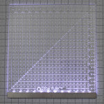 Carolina Moore Glow Ruler's