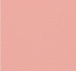PREORDER Kimberbell Sunkissed Peach Pebbled Leather KDKB1334 DUE OUT 9/26/26