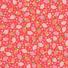 Load image into Gallery viewer, Kimberbell Sweet Shoppe Fabric Collection Sold by the Yard
