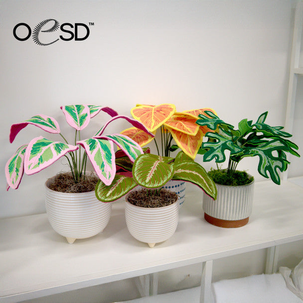 OESD Freestanding Houseplants 2 13005 USB or Digital Download
