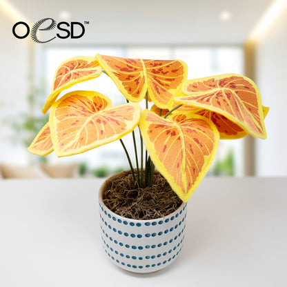 OESD Freestanding Houseplants 2 13005 USB or Digital Download