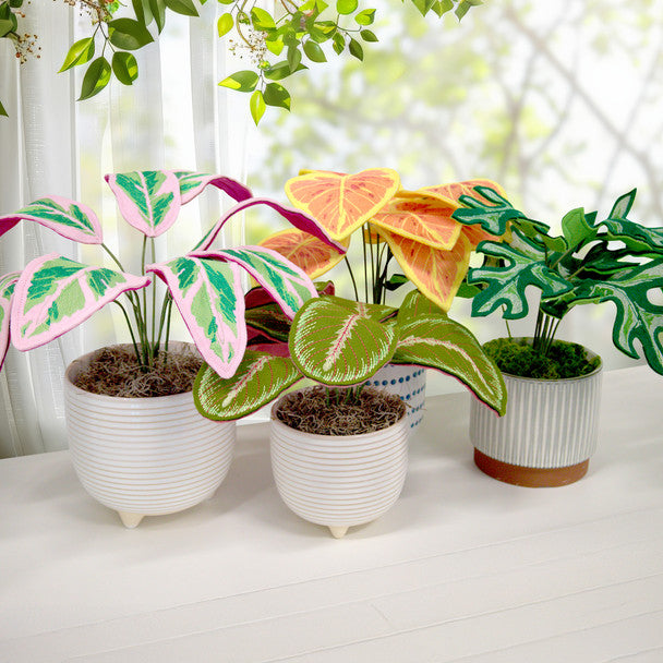 OESD Freestanding Houseplants 2 13005 USB or Digital Download