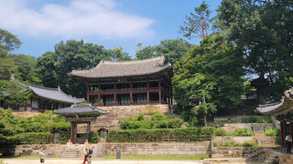 Join Jeanne and Patrick for the  A-1 Korea Experience Including Sightseeing in Seoul and Busan, the Coex Quilt Festival, Food Culture and Unbelievable Shopping