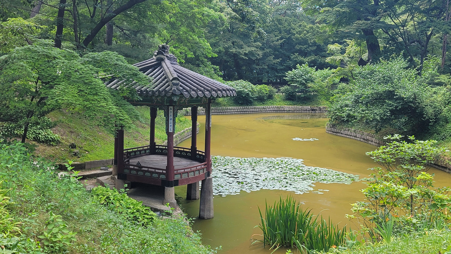 Join Jeanne and Patrick for the  A-1 Korea Experience Including Sightseeing in Seoul and Busan, the Coex Quilt Festival, Food Culture and Unbelievable Shopping