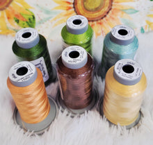 Load image into Gallery viewer, Janine Babich Welcome Friends Wall Hanging Fabric Kit AND/OR Optional Glide THREAD kit - USE THE DROP-DOWN TO SELECT FABRIC KIT OR THREAD KIT