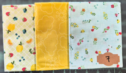 Needle Notebook 1 Fabric Kits Multiple Variants featuring Kimberbell Sippin, Riley Blake Farmer's Girl - USE THE DROPDOWN TO MAKE YOUR SELECTION AND TO SEE A CLOSE UP OF YOUR OPTIONS
