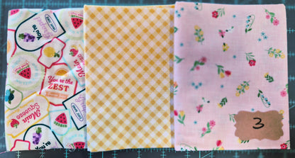 Needle Notebook 1 Fabric Kits Multiple Variants featuring Kimberbell Sippin, Riley Blake Farmer's Girl - USE THE DROPDOWN TO MAKE YOUR SELECTION AND TO SEE A CLOSE UP OF YOUR OPTIONS
