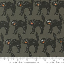 Load image into Gallery viewer, Moda Home Sweet Haunt Fabric Collection Sold PER QUARTER YARD