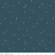 Load image into Gallery viewer, Riley Blake Fabrics by the Yard for the Jane Austen Library Quilt