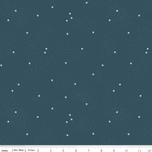 Riley Blake Fabrics by the Yard for the Jane Austen Library Quilt