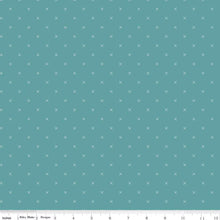 Load image into Gallery viewer, Riley Blake Fabrics by the Yard for the Jane Austen Library Quilt