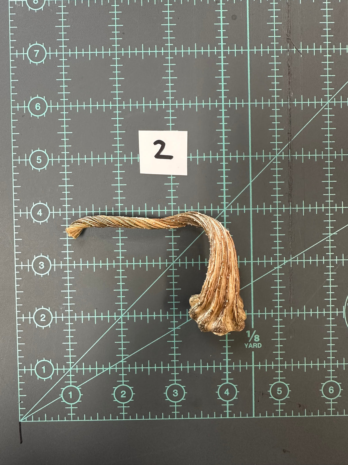 Large Pumpkin Stems for Pumpkin Pizazz Project- Use drop down menu to select stems.