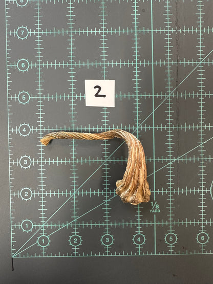 Large Pumpkin Stems for Pumpkin Pizazz Project- Use drop down menu to select stems.