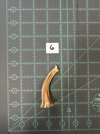 Large Pumpkin Stems for Pumpkin Pizazz Project- Use drop down menu to select stems.