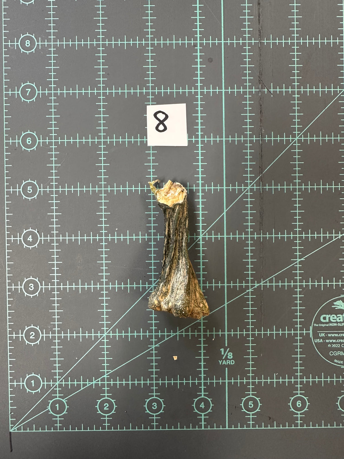 Large Pumpkin Stems for Pumpkin Pizazz Project- Use drop down menu to select stems.