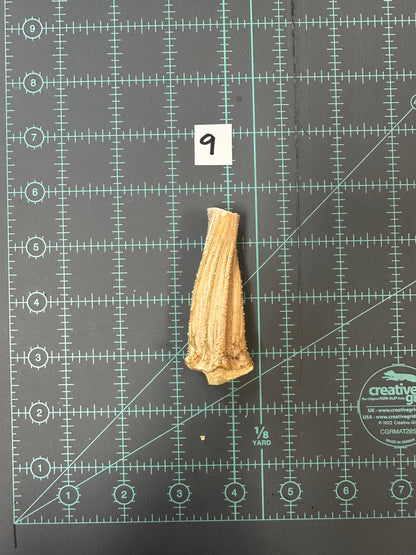 Large Pumpkin Stems for Pumpkin Pizazz Project- Use drop down menu to select stems.
