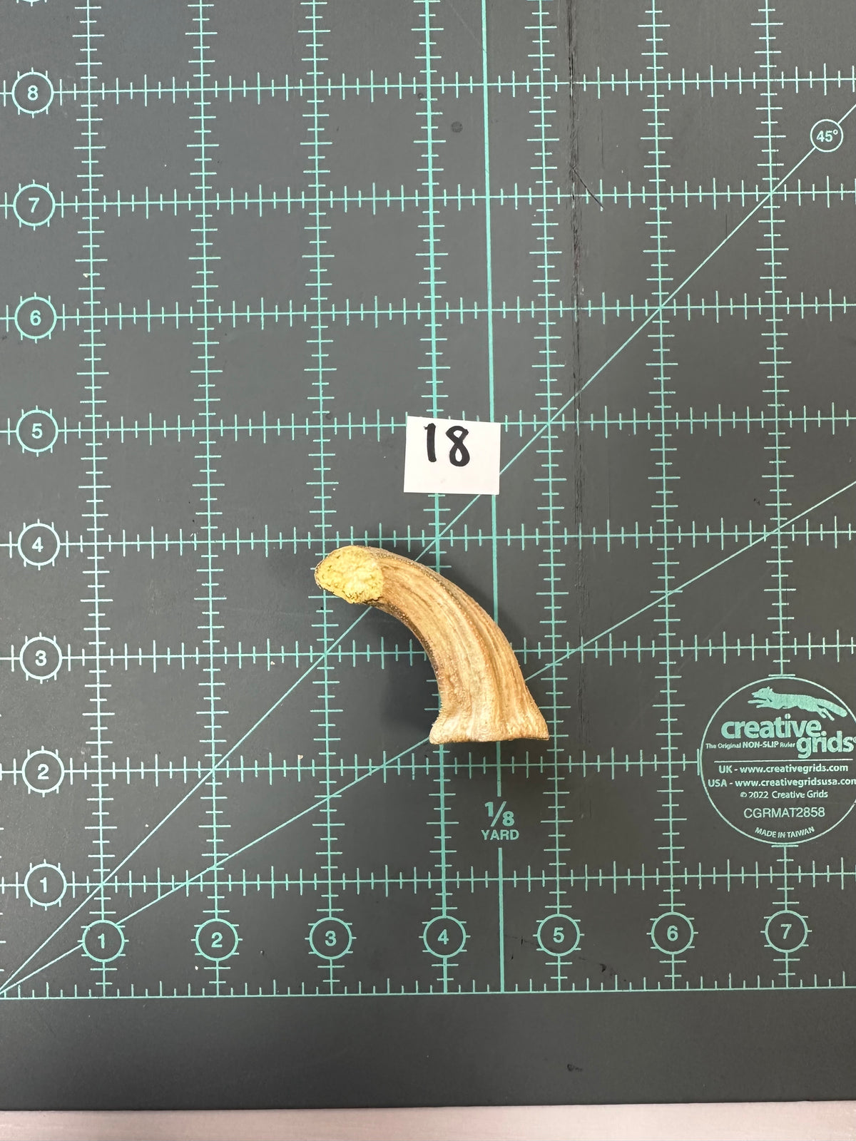 Large Pumpkin Stems for Pumpkin Pizazz Project- Use drop down menu to select stems.