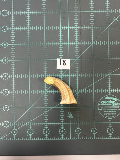 Large Pumpkin Stems for Pumpkin Pizazz Project- Use drop down menu to select stems.