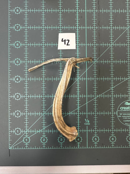 Large Pumpkin Stems for Pumpkin Pizazz Project- Use drop down menu to select stems.