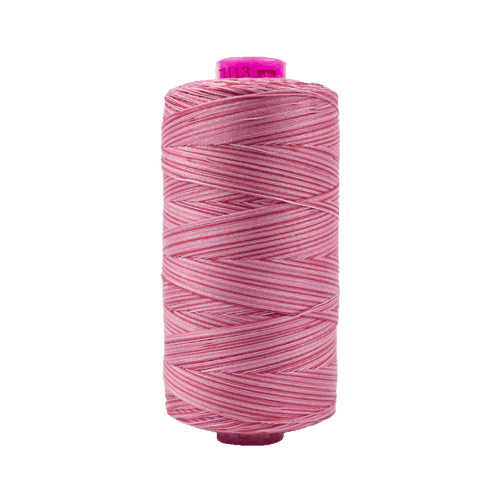 Tutti Variegated Thread 50wt 1000M Various Colors - HIBISCUS