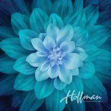 Hoffman - Dream Big - Floral - Digital Print - 42" Square Panel
