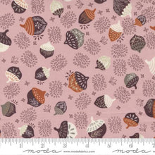 Load image into Gallery viewer, Moda Slow Stroll by Fancy That Design House Fabric by the Yard