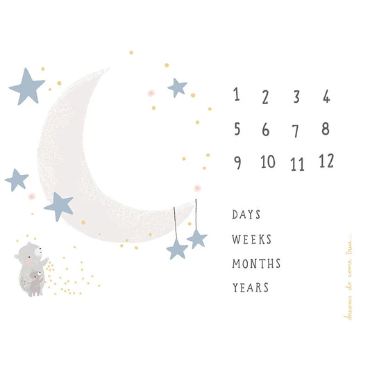 D is for Dream Moda Fabric Panel