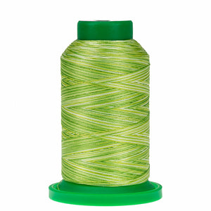 Isacord 9868 Limeade Variegated Thread DISCONTINUED