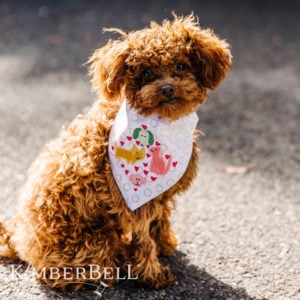 Kimberbell Playful Pet Kerchiefs KD5106