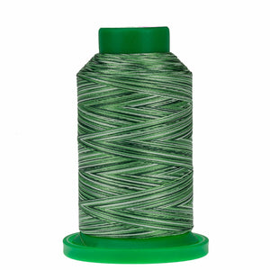 Isacord 9805 Shades of Grass Variegated Thread